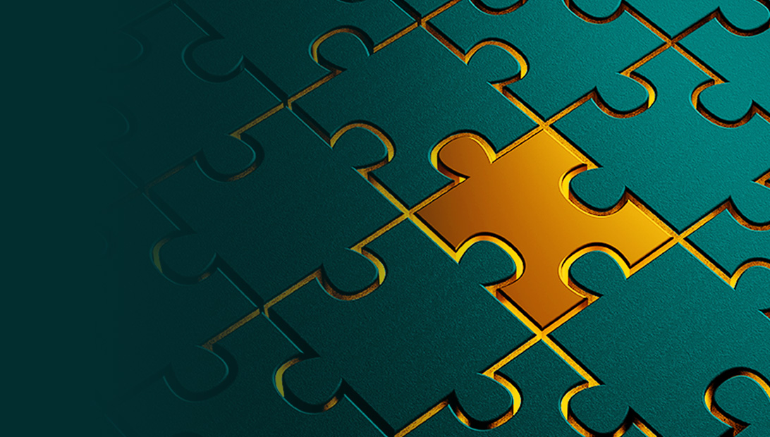RIS Puzzle