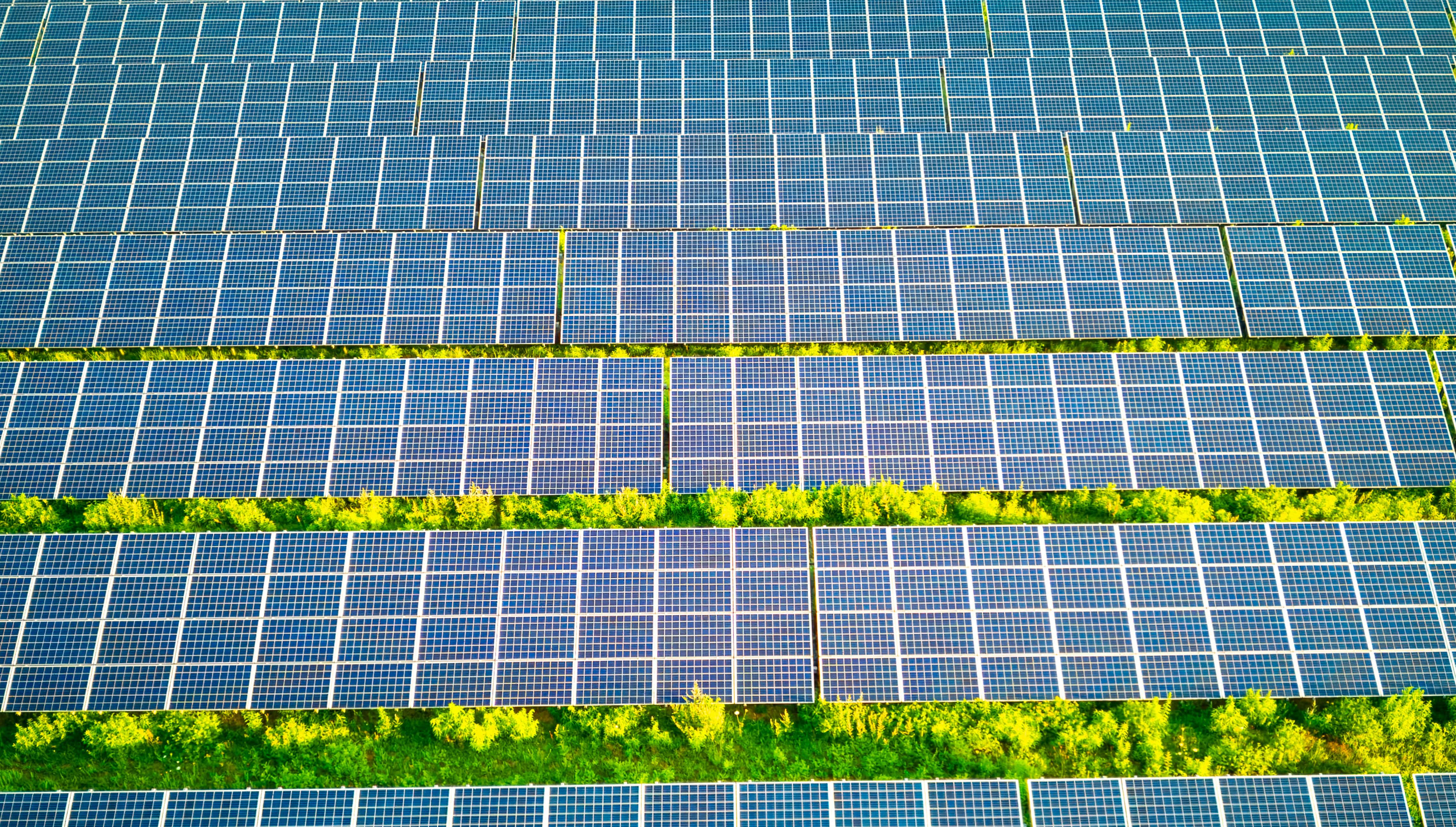 Our Sustainability Commitments